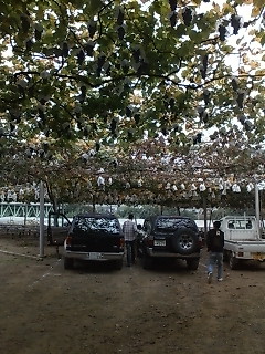 20081026124401.jpg